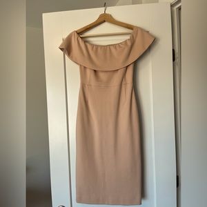 Babaton Dusty Rose/Nude dress